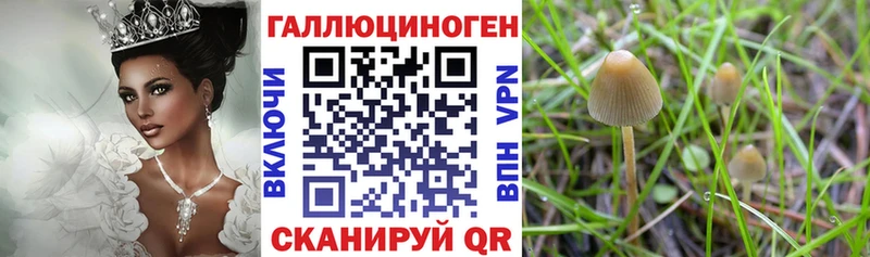 Псилоцибиновые грибы Magic Shrooms  Купить закладки  Циолковский 